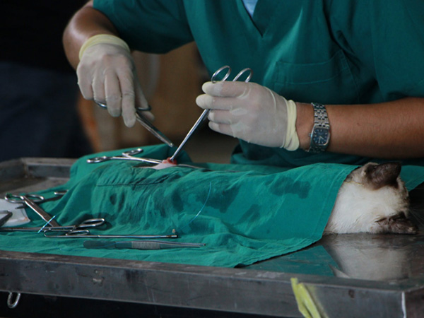 medical non woven fabric factory